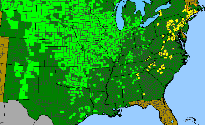 The range of Solidago rigida